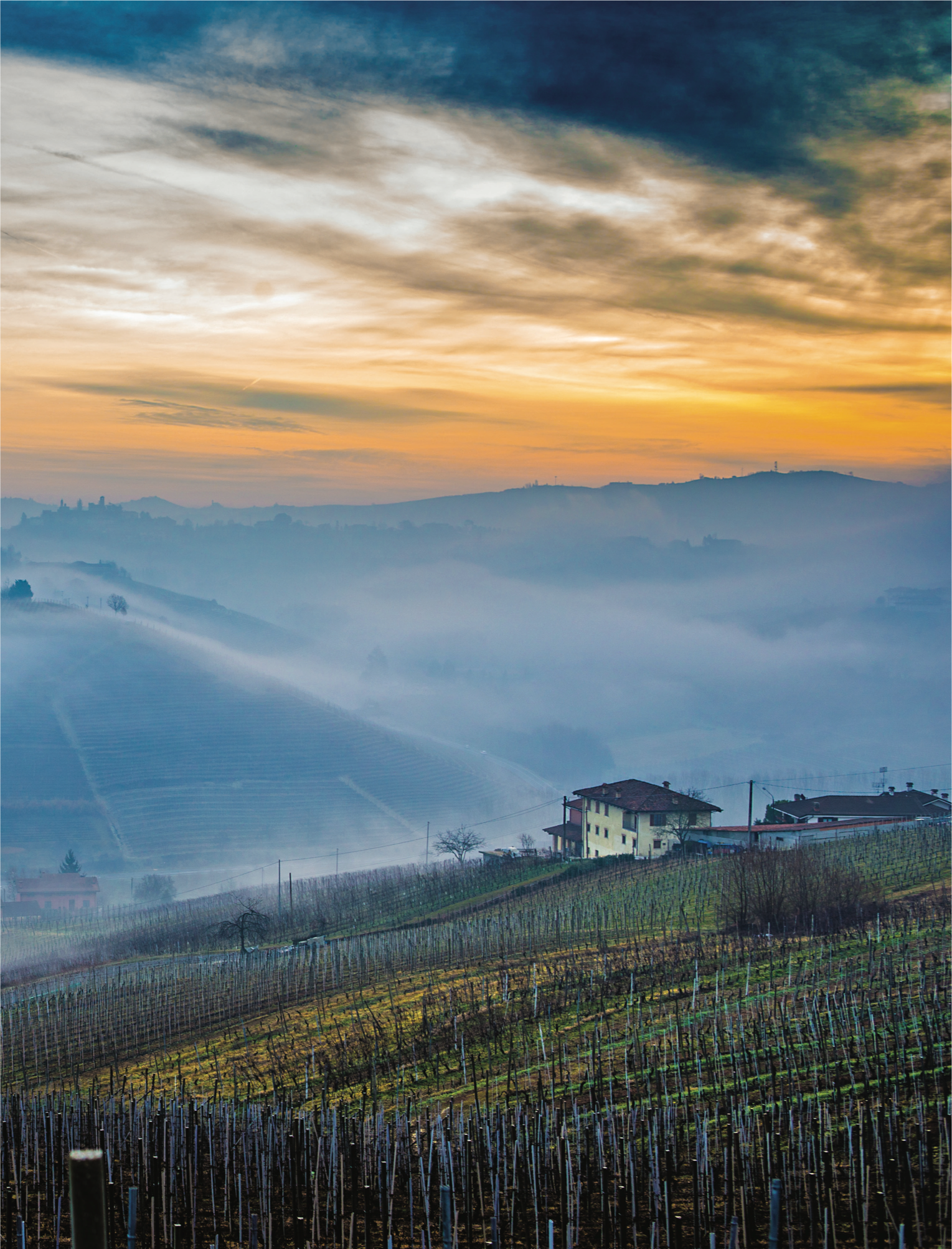 (A picturesque view from Barbaresco: as well as the origin and production site of the wine of the same name, the village of 671 inhabitants in Cuneo province is a World Heritage Site.)