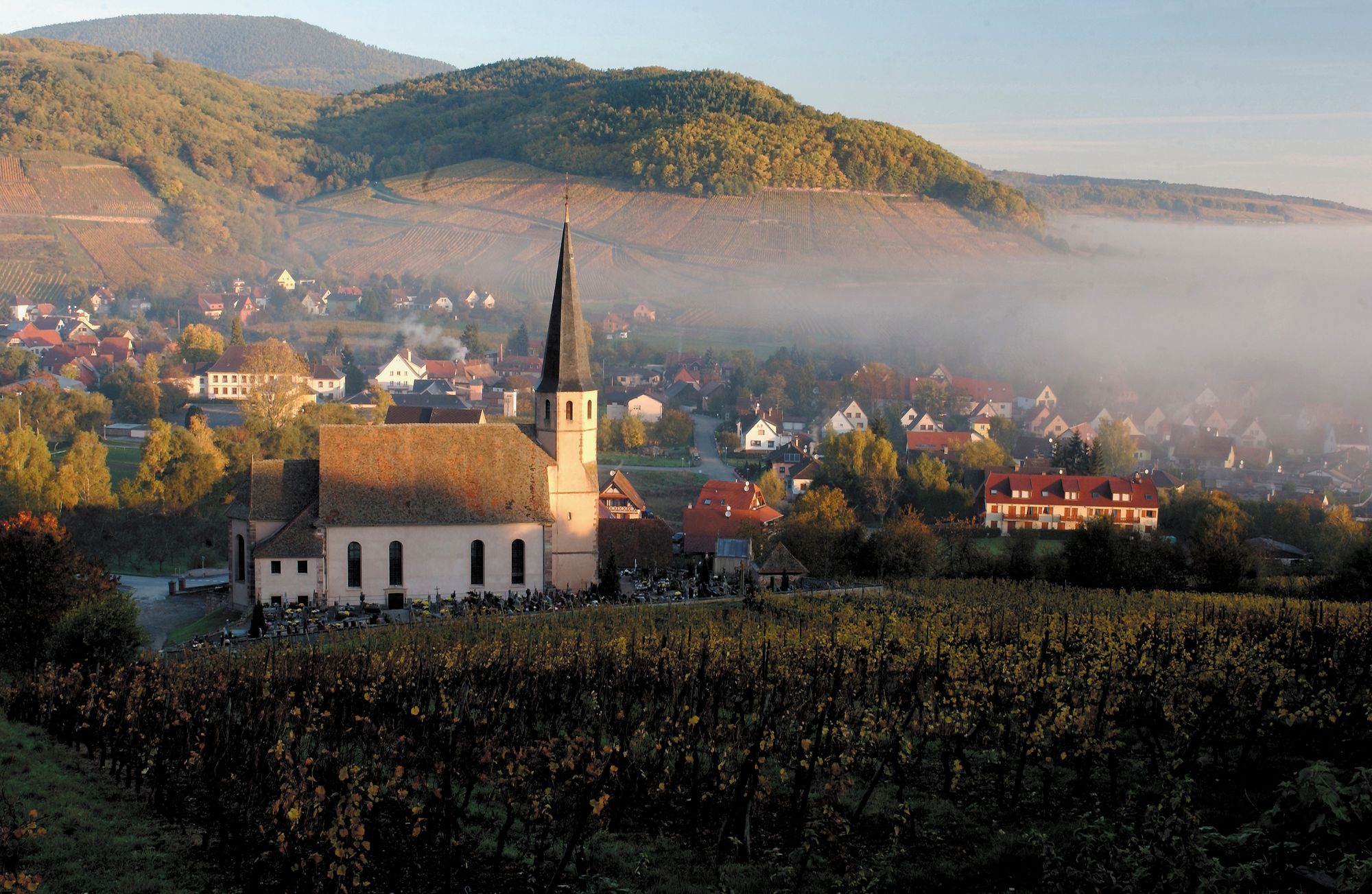 Celebrate the Best of the Northeastern French Wine Region with Alsace Rocks!