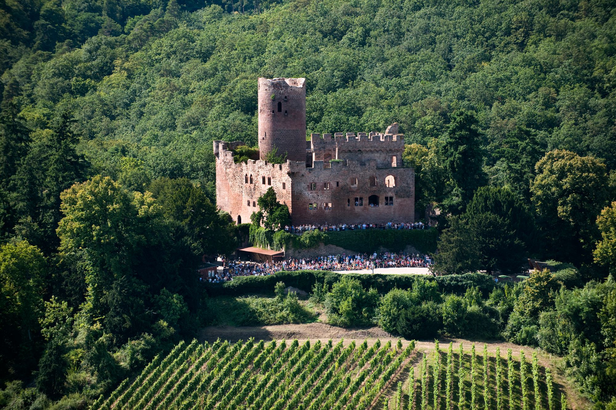 Celebrate the Best of the Northeastern French Wine Region with Alsace Rocks!